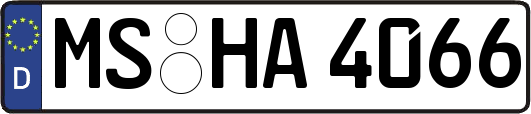 MS-HA4066