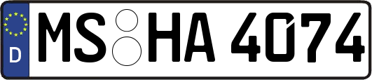 MS-HA4074