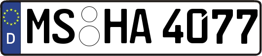 MS-HA4077
