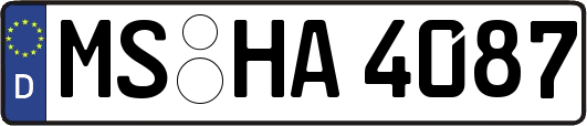 MS-HA4087