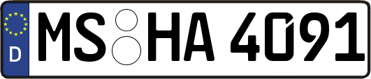 MS-HA4091