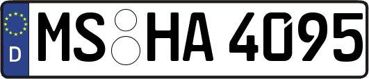 MS-HA4095