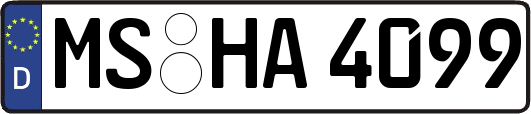 MS-HA4099