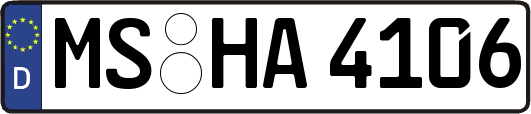 MS-HA4106