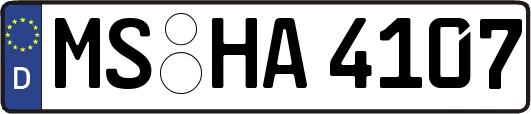MS-HA4107