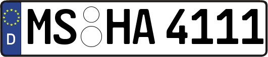 MS-HA4111