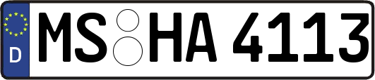 MS-HA4113