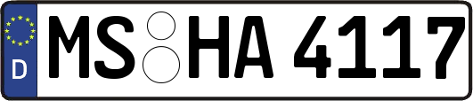 MS-HA4117