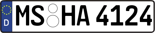 MS-HA4124