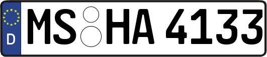 MS-HA4133