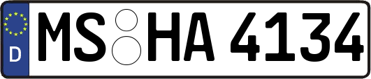 MS-HA4134
