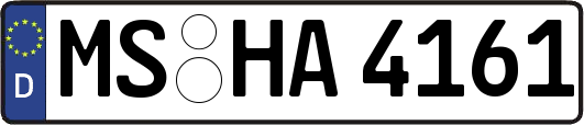 MS-HA4161