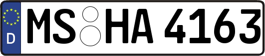 MS-HA4163