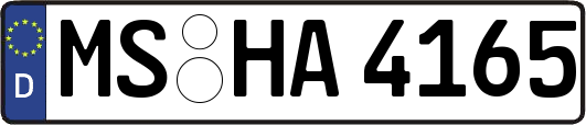 MS-HA4165