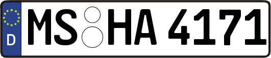 MS-HA4171