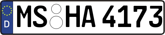 MS-HA4173