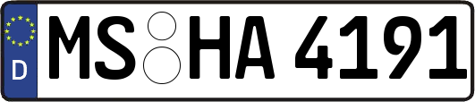 MS-HA4191