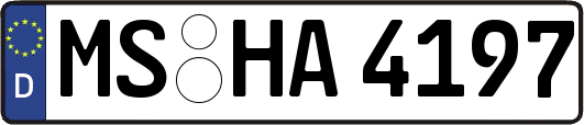 MS-HA4197