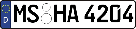 MS-HA4204