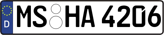MS-HA4206