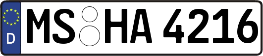 MS-HA4216