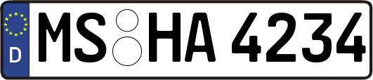 MS-HA4234