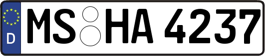 MS-HA4237