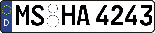 MS-HA4243
