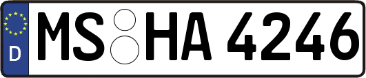 MS-HA4246