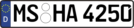 MS-HA4250