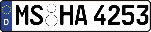 MS-HA4253