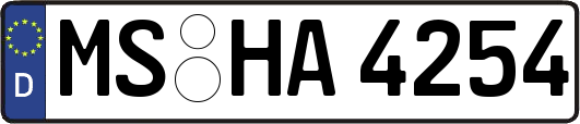 MS-HA4254