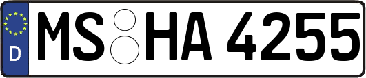 MS-HA4255
