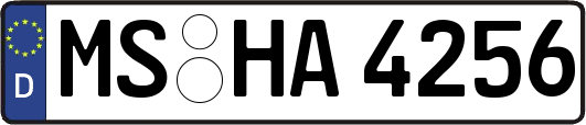 MS-HA4256