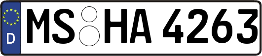 MS-HA4263