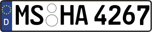 MS-HA4267