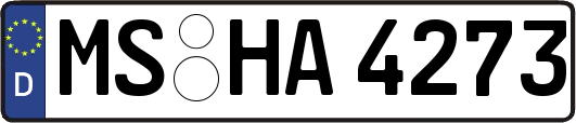 MS-HA4273