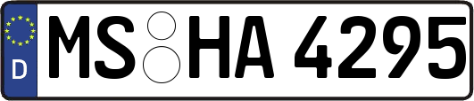 MS-HA4295