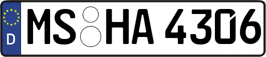 MS-HA4306