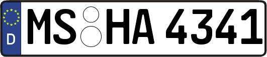 MS-HA4341