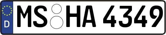 MS-HA4349