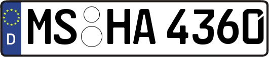 MS-HA4360