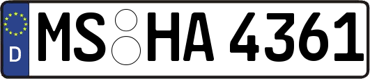 MS-HA4361