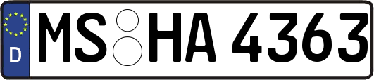 MS-HA4363