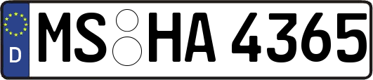 MS-HA4365