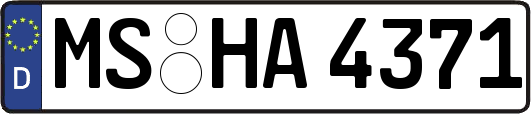 MS-HA4371