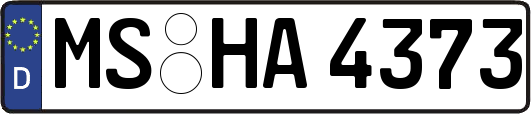 MS-HA4373