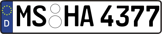 MS-HA4377