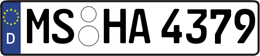 MS-HA4379