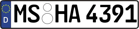 MS-HA4391